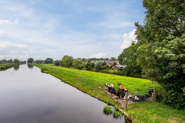 Foto 31 van Pieter 11