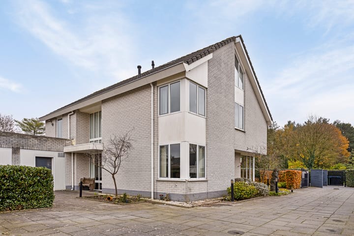 undefined main image