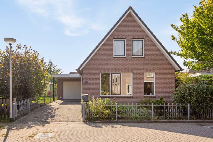 undefined main image