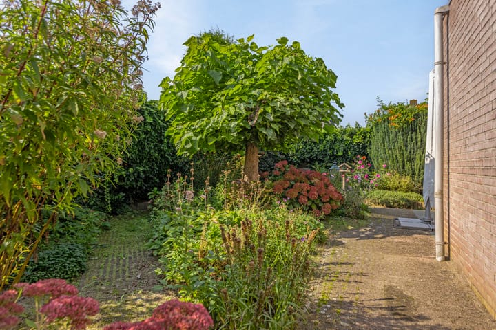 Foto 33 van De Polenkamp 38