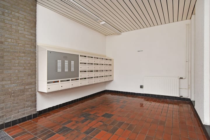 Foto 3 van Tulpentuin 235