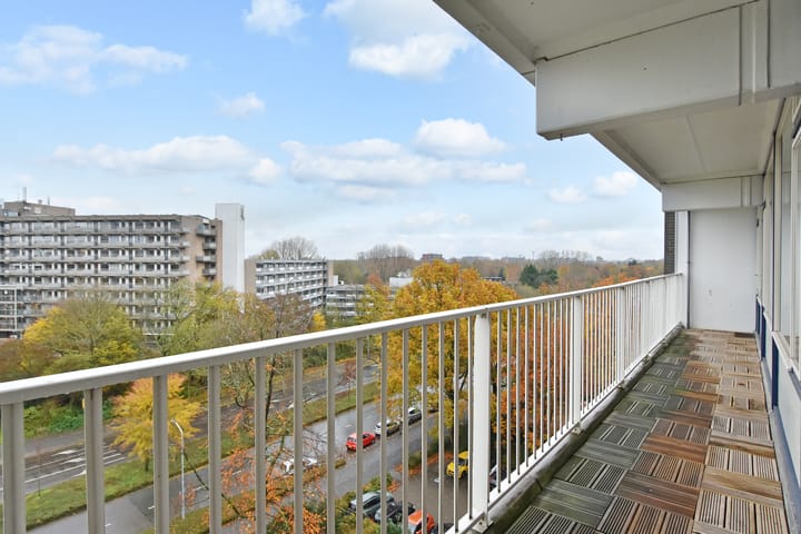 Foto 14 van Tulpentuin 235