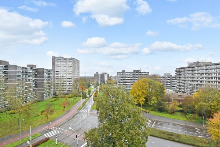 Foto 15 van Tulpentuin 235