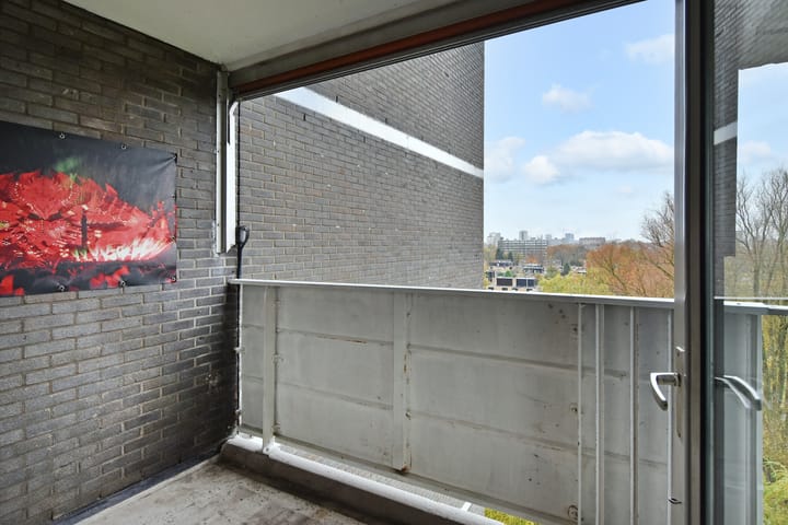 Foto 29 van Tulpentuin 235