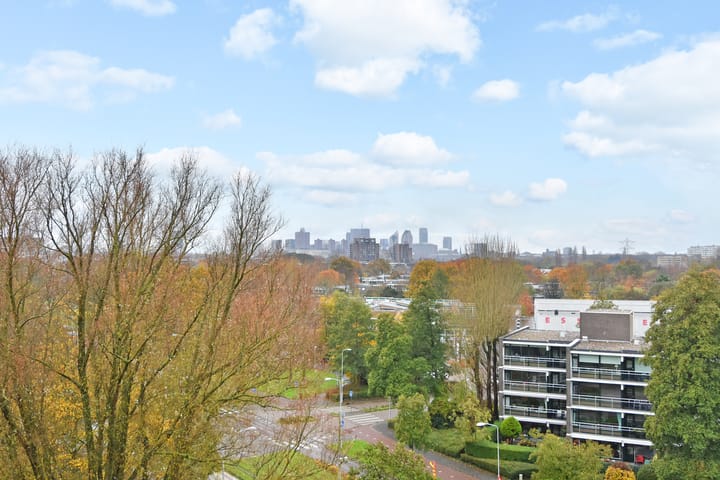 Foto 31 van Tulpentuin 235