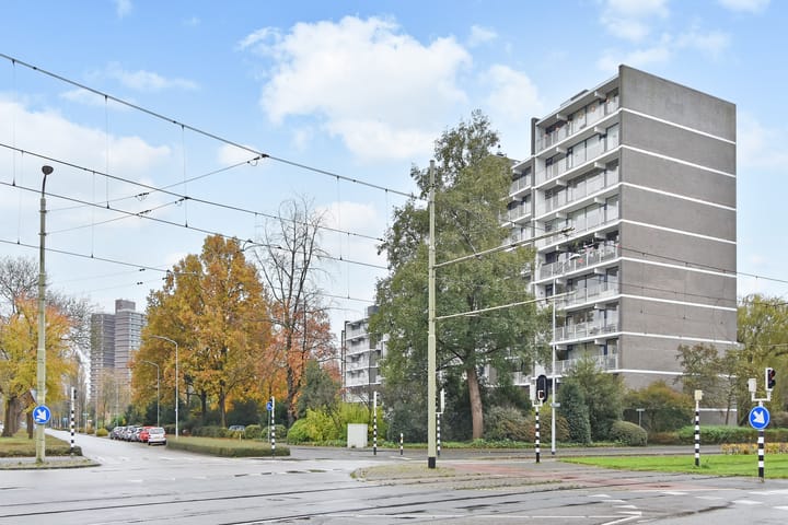 Foto 36 van Tulpentuin 235