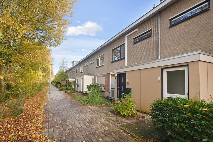 Foto 40 van Rozenpad 32