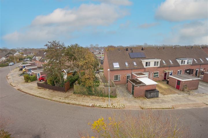 Bekijk foto 1 van Wierbalg 1133