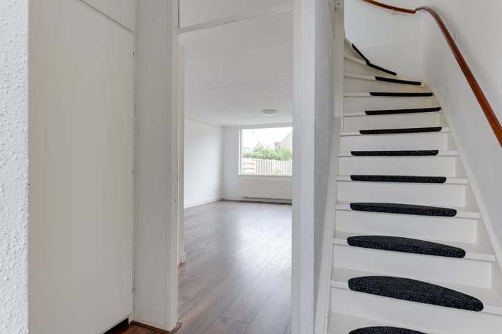 Foto 6 van Wierbalg 1133