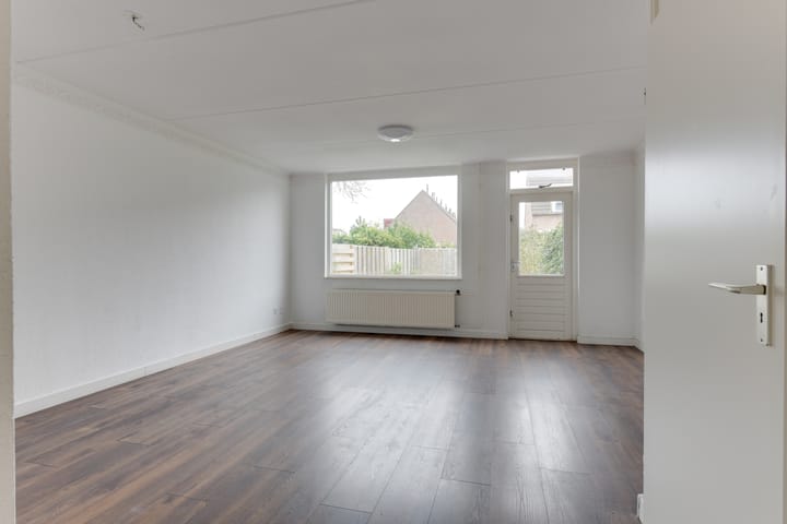 Foto 7 van Wierbalg 1133