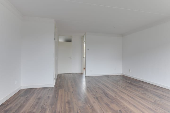 Foto 8 van Wierbalg 1133