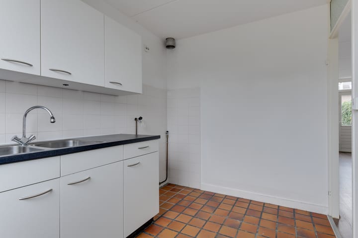 Foto 10 van Wierbalg 1133