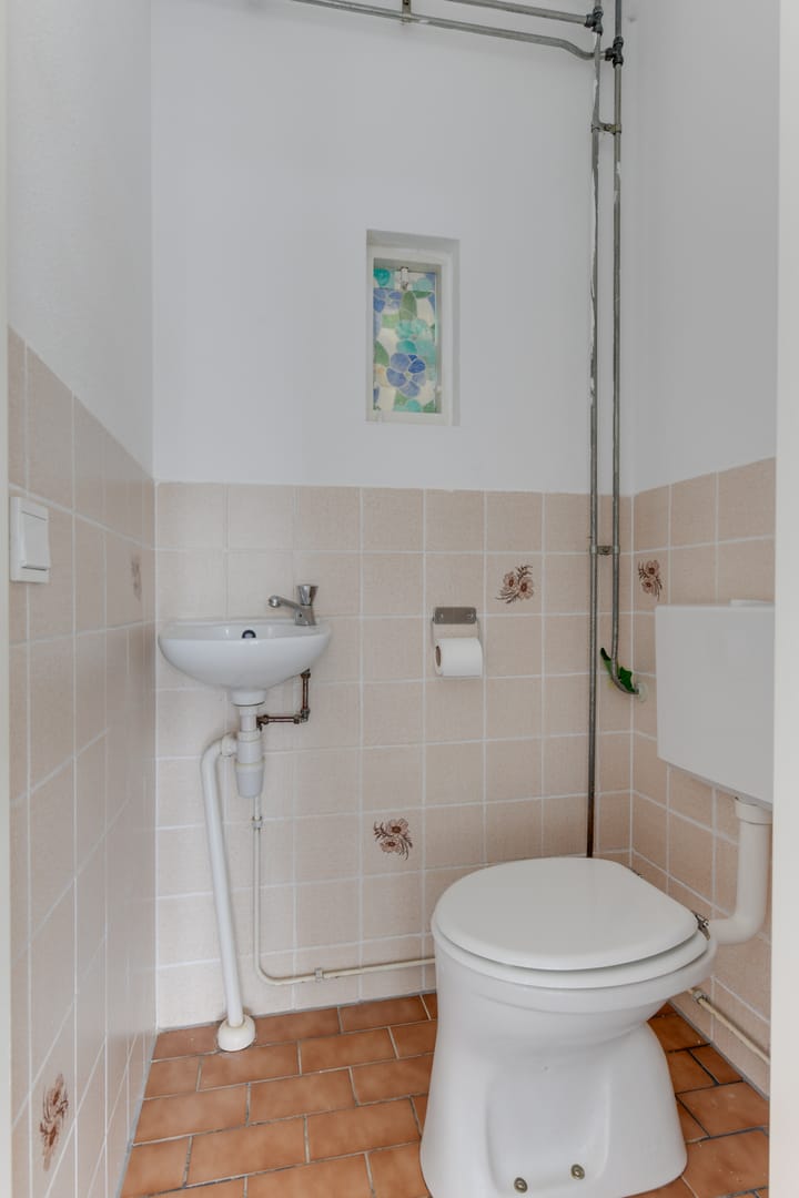 Foto 11 van Wierbalg 1133