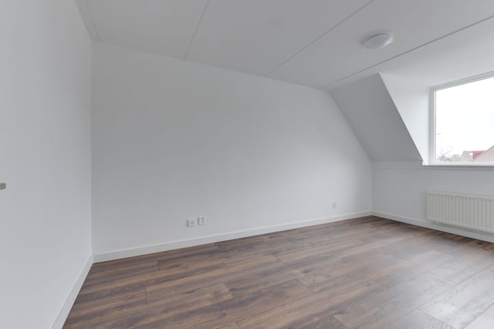 Foto 12 van Wierbalg 1133