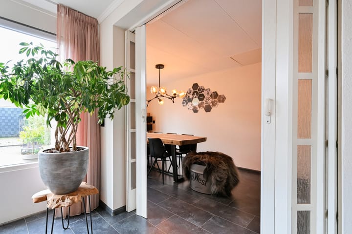 Photo 11 of Steenuil 64