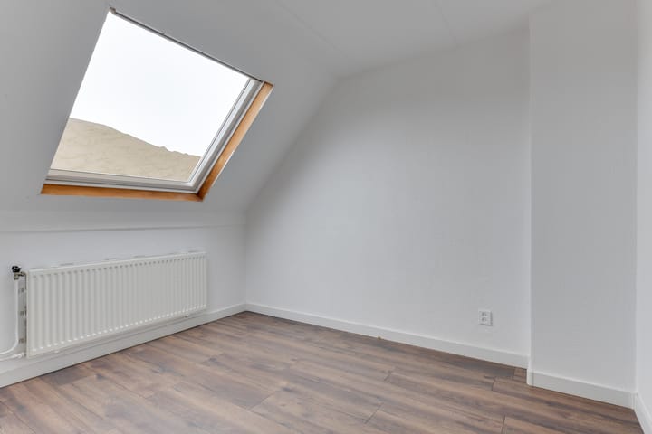 Foto 15 van Wierbalg 1133