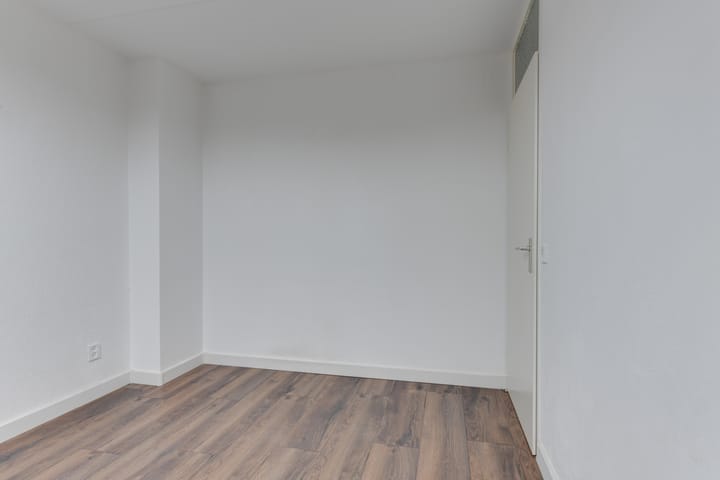 Foto 17 van Wierbalg 1133