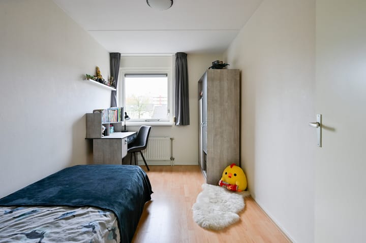 Photo 18 of Steenuil 64