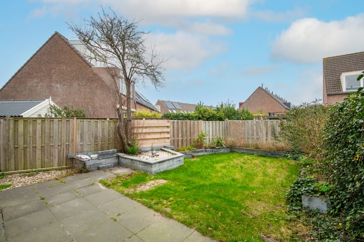 Foto 27 van Wierbalg 1133