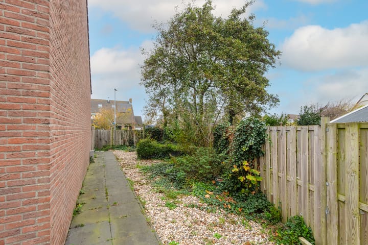 Foto 28 van Wierbalg 1133