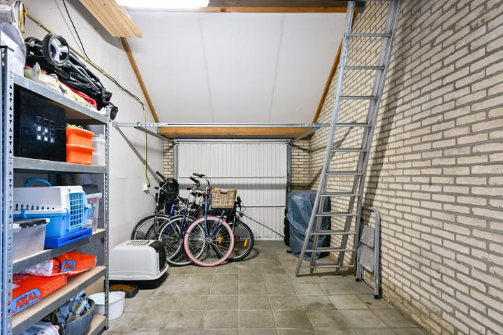 Photo 27 of Steenuil 64