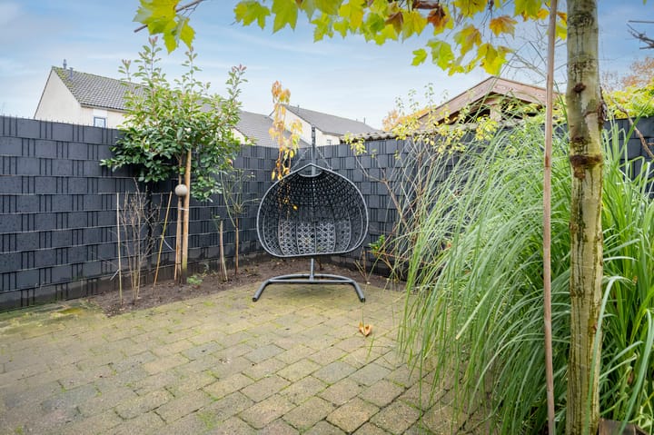 Photo 29 of Steenuil 64