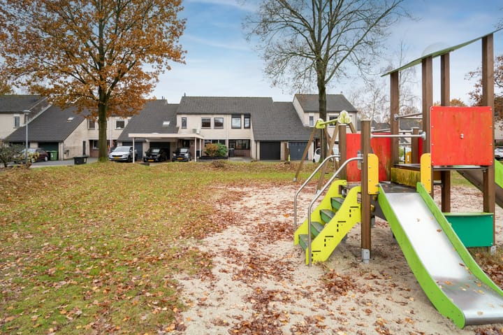 Photo 34 of Steenuil 64