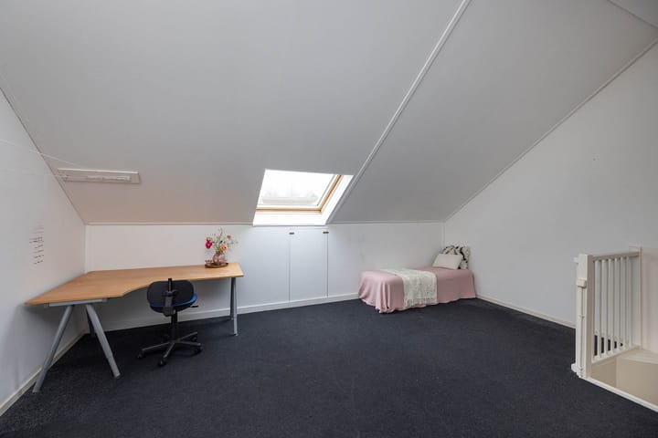 Foto 16 van Dovenetel 24