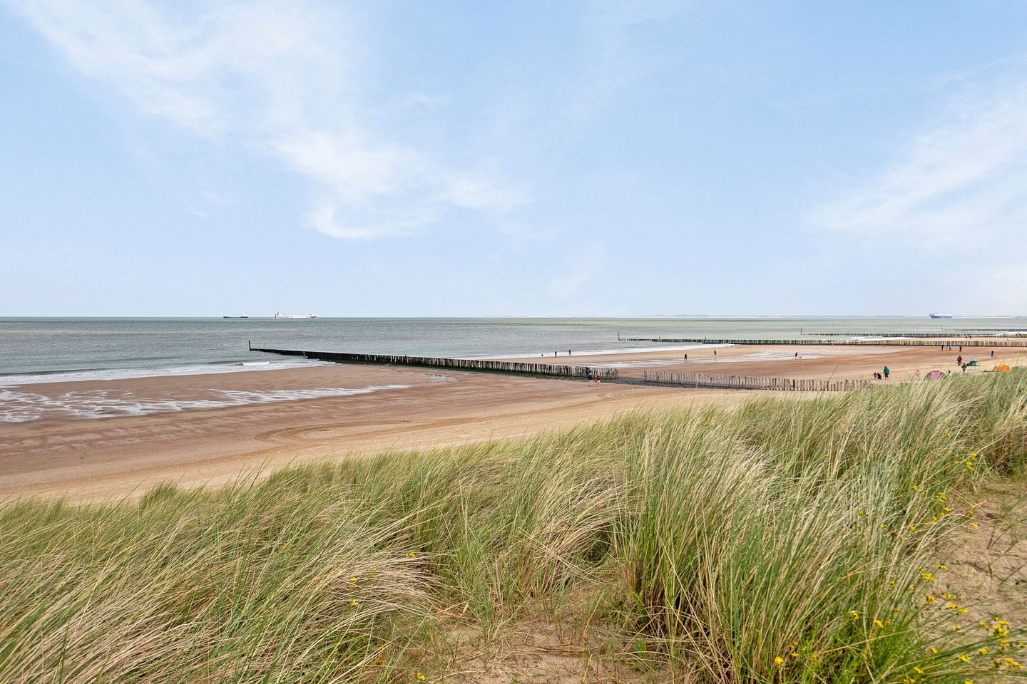 Foto 29 van Boulevard de Wielingen 47-B002