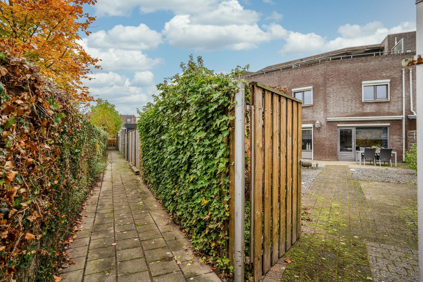 Photo 29 of Vesta 17