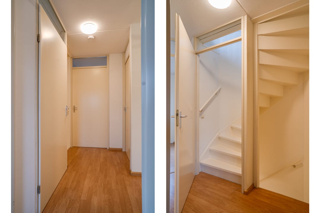 Photo 31 of Vesta 17