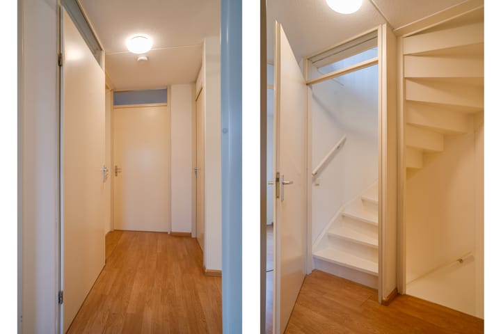 Photo 31 of Vesta 17