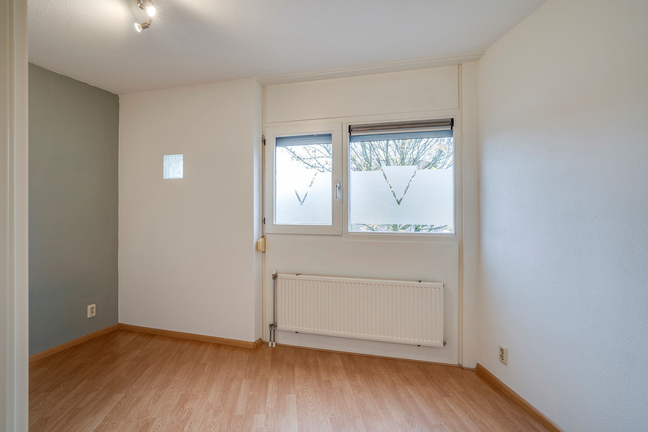 Photo 36 of Vesta 17