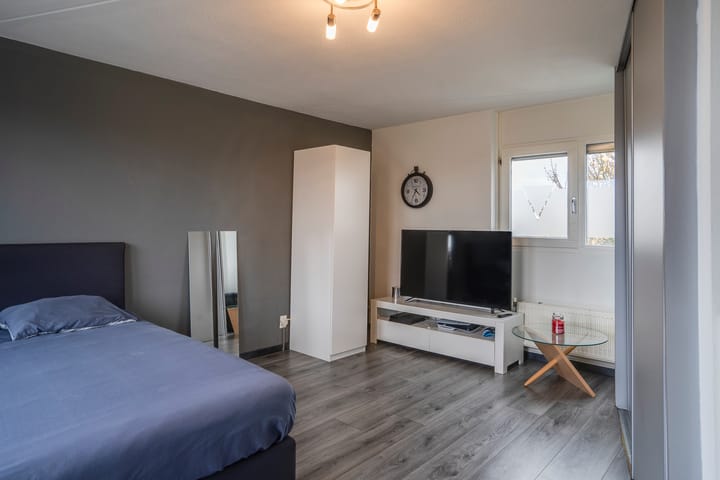 Photo 39 of Vesta 17