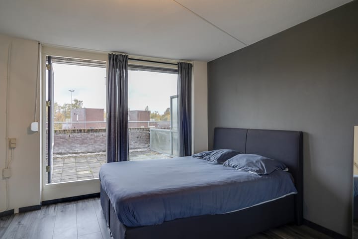 Photo 40 of Vesta 17