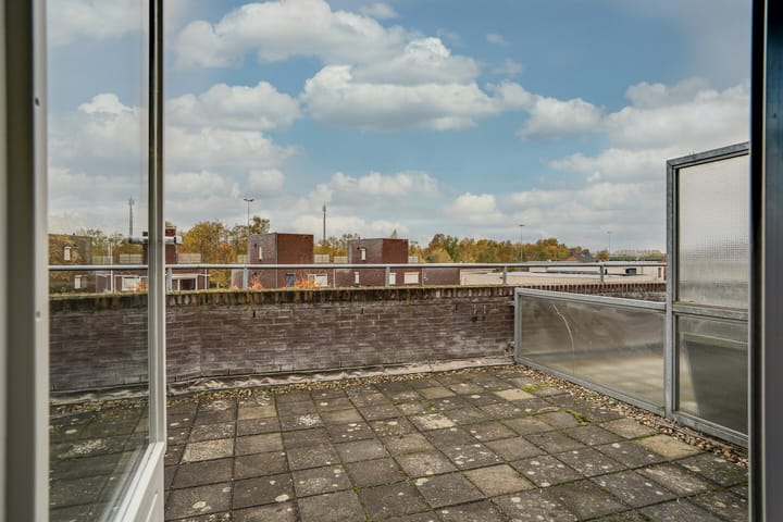 Photo 42 of Vesta 17