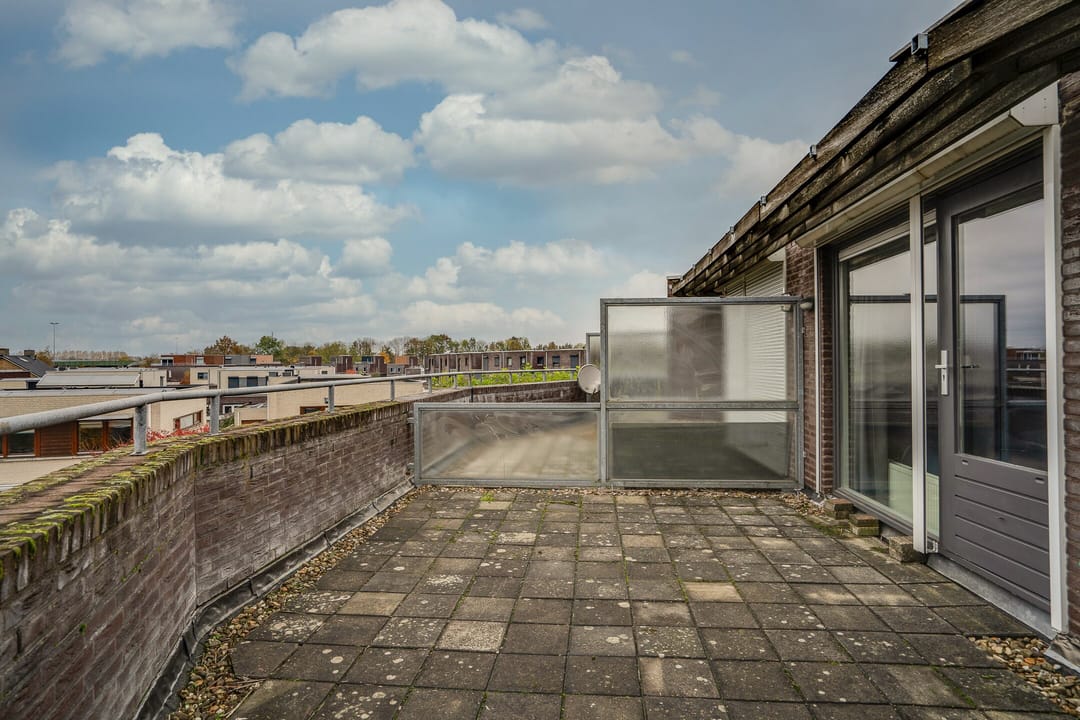 Photo 43 of Vesta 17