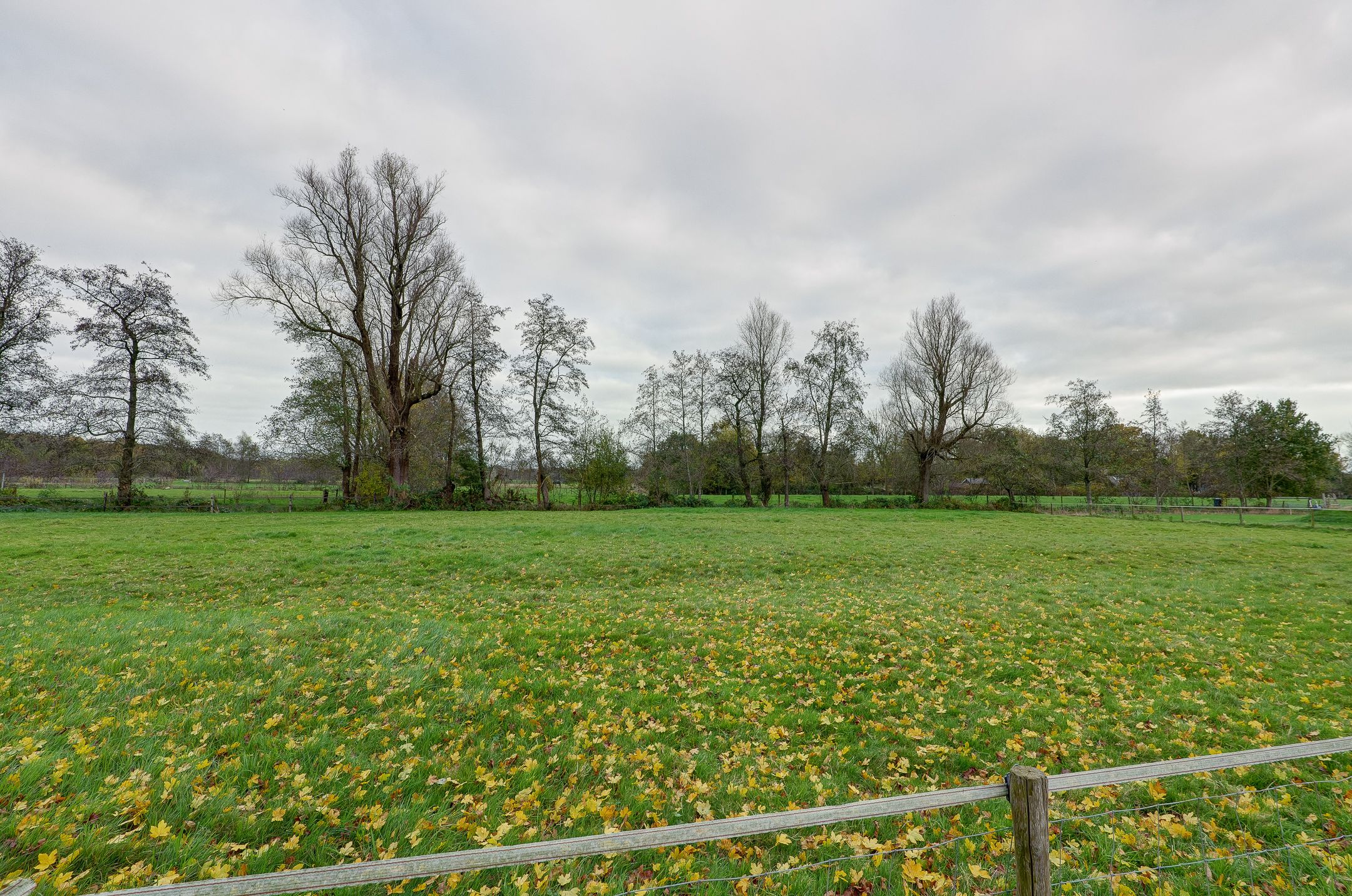 Photo 51 of Jan Binneswei 16