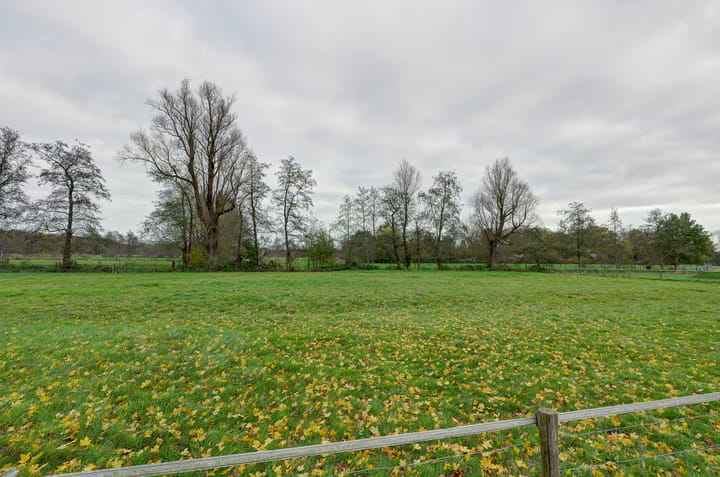 Photo 51 of Jan Binneswei 16