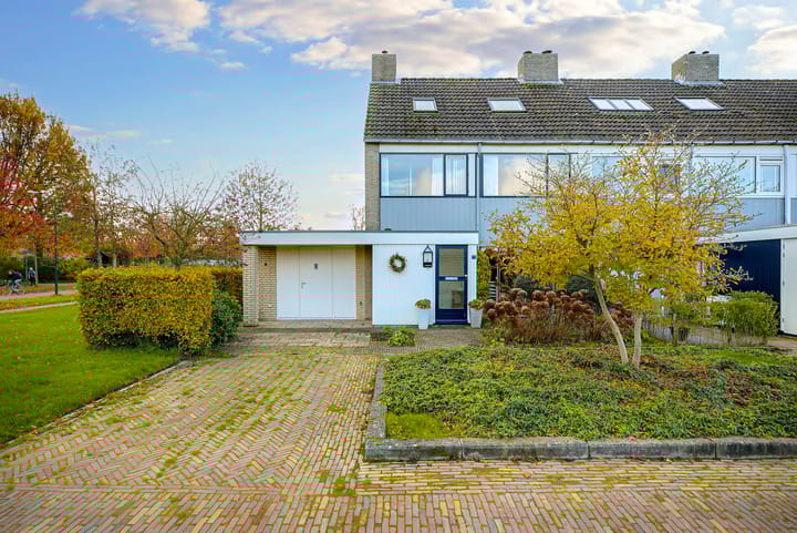 undefined main image