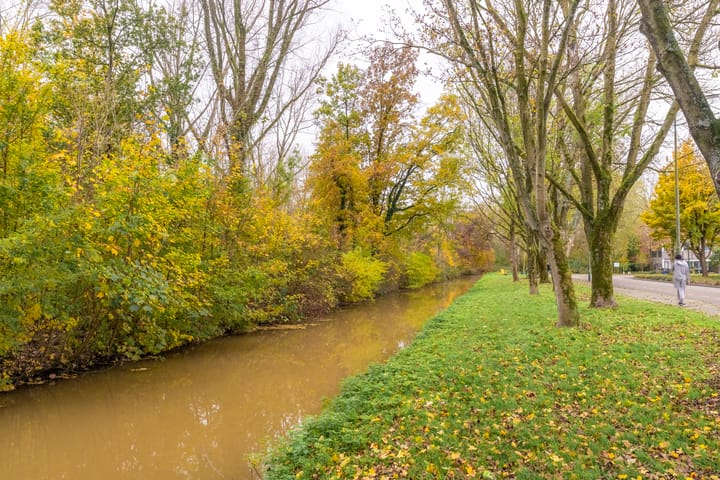 Photo 46 of Boomstede 713