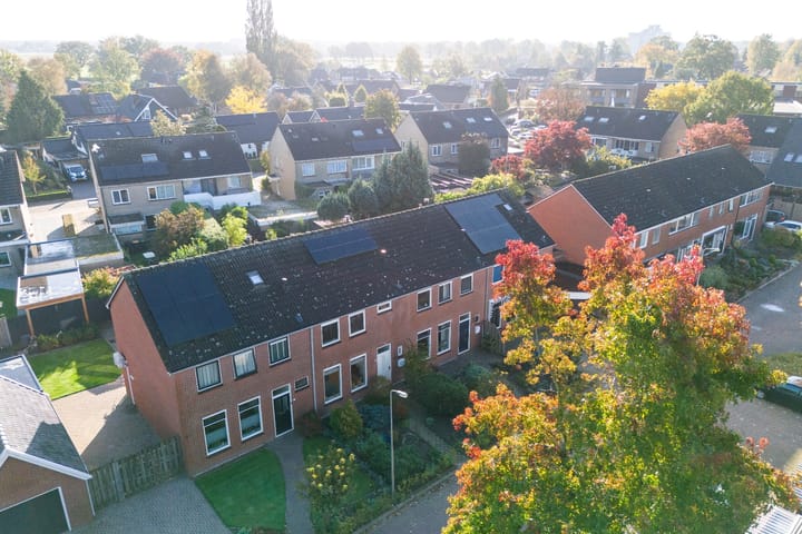 Foto 2 van Broekmaten 40