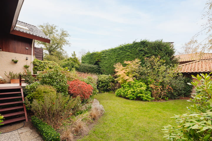 Foto 18 van Mecklenburglaan 3