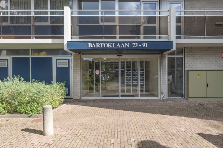 Bekijk foto 7 van Bartoklaan 87