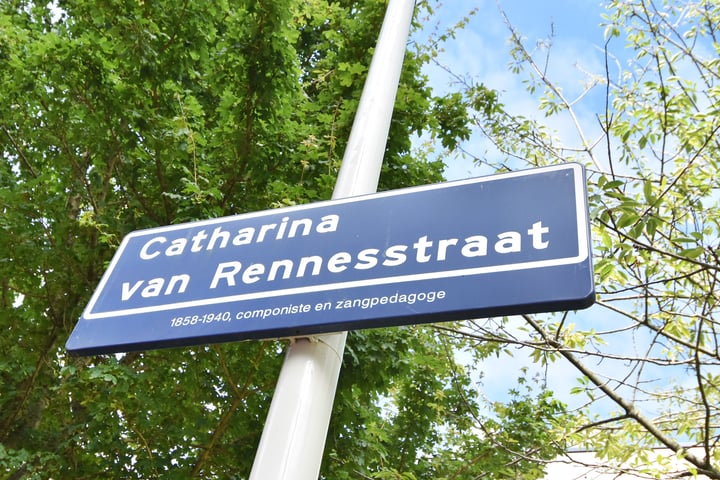 View photo 6 of Catharina van Rennesstraat 133