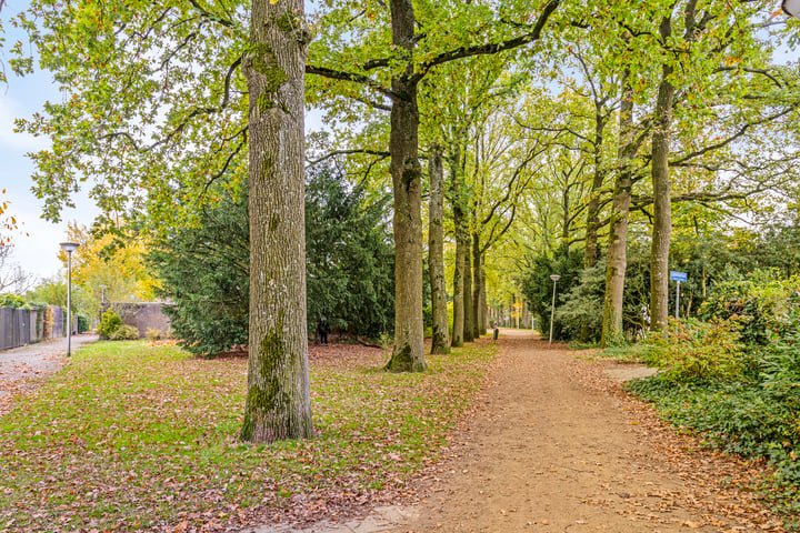 Bekijk foto 40 van Eratolaan 29