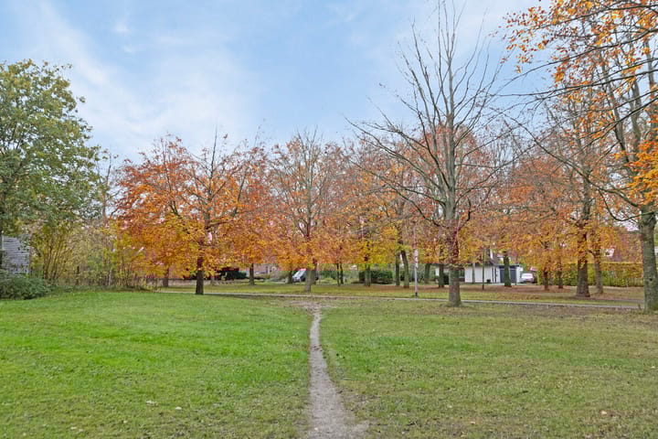 Foto 22 van de Hilde 20