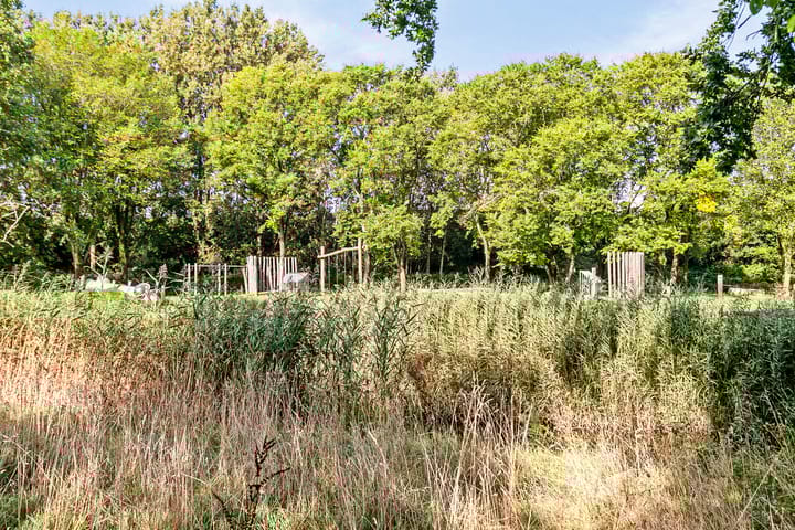 Foto 31 van H. Cleyndertweg 811