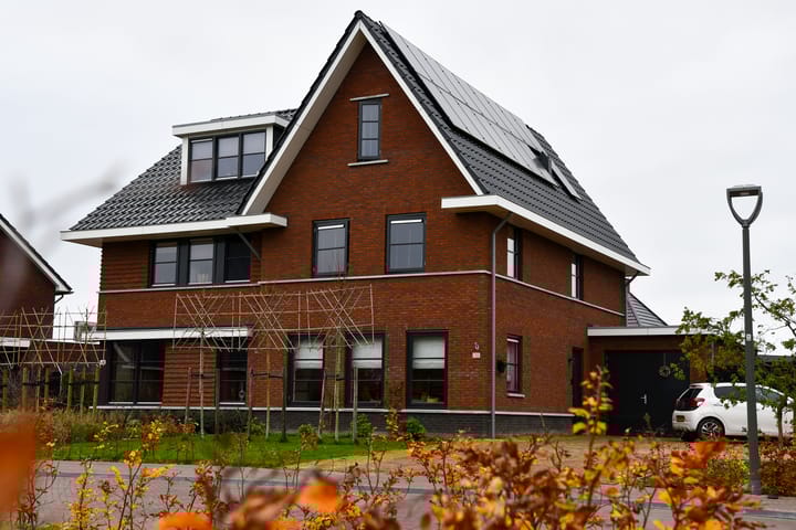 Foto 1 van Sleutelbloem 41