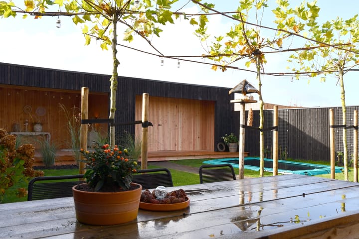 Foto 3 van Sleutelbloem 41